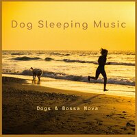 Calming Dogs - Dog Sleeping Music