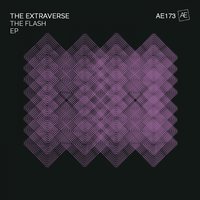 The Flash - The Extraverse