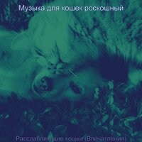 Моменты (Расслабляющие кошки) - Музыка для кошек роскошный