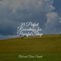 Nocturnal Slumber - Meditation Awareness & The Sleep Helpers & Música de la Naturaleza