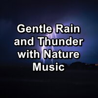 Moderate Rain and Thunder on a Tin Roof and Thunder To Repeat for 10 Hours - Spa Music Paradise & Hotel Spa & Water Spa