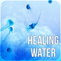 Natural Sea - Health Therapies Music Academy