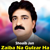 Bare Karde Hamo Degar - Shoaib Jan