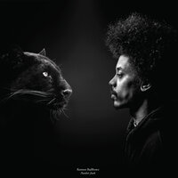 Panther Funk - Ramson Badbonez