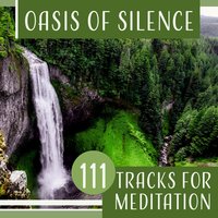 Open Your Soul - Mantra Yoga Music Oasis
