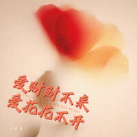 爱财财不来 爱花花不开 - 六仔哥