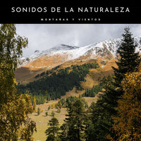 Viento Fuerte - Naturaleza FX & Sonidos de la Naturaleza Relajacion & Relajante