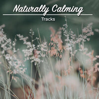 Gentle Crashing Waves - Relaxar Meditação Clube, Academia de Meditação Buddha, Música para Relaxar Maestro & Música para Relaxar Maestro & Academia de Meditação Buddha & Relaxar Meditação Clube