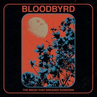 Trail Of Fail - Bloodbyrd