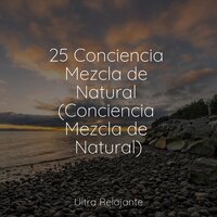Descanso Consciente - Dormir Sol & Relajación Meditar Academie & Relajante Música de Piano Oasis