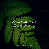 Mindful Meditation - Sleeping Music & Relaxing Sleep Sound & Childrens Music