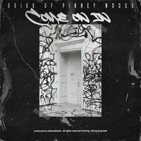 Come on in - Brikk of Pinney Woods & Pinney Woods & Black Folk Inc. & B-Lo MF Brown