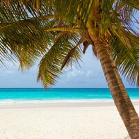 Best Weather - Sleep Makers Samples & Classical New Age Piano Music & Dr. Meditation