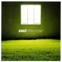 Renegade Fighter - Zed