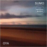 You Look Good To Me - Sumo & Los Hermanos del Alma