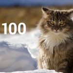 Топ 100 Muzmo март 2016