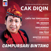 Cinta Untuk Selamanya - Cak Diqin & Safitri