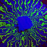 Exp FIVE DMT FOREVER with Voice - Deaf by Design