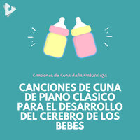 Muelle dickory nogal con lluvia somnolienta - Canciones de Cuna de la Naturaleza & Estrellita Dónde Estás