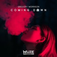 Coming Down - Gregory Morrison & Timewaster