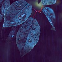 Моменты (После работы) - Легкий джаз общество
