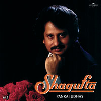 Hum Jaise Tanha Logon Ka - Pankaj Udhas