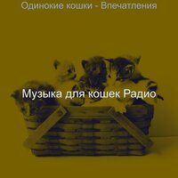 Звуки (Сонные кошки) - Музыка для кошек Радио