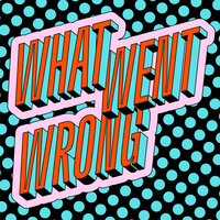 What Went Wrong - Pablo Nouvelle