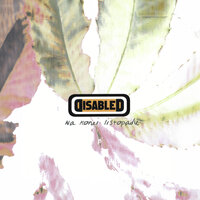 Brandon - Disabled