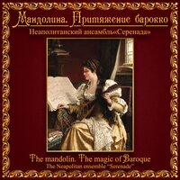 Concerto No. 2 in C Major: I. Allegro - The Neapolitan Ensemble Serenade & Alexey Balashov