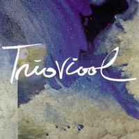 Shortleg Waltz - Trioviool