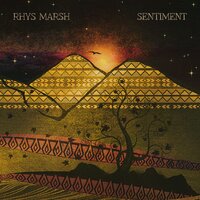 In The Sand - Rhys Marsh