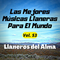 Dueña de Mi Amor - Llaneros del Alma