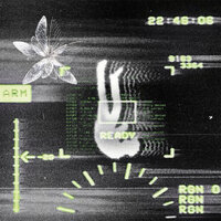 tailwind - HXSTXGE