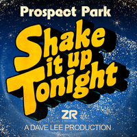 Shake It Up Tonight - Prospect Park & Dave Lee
