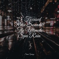 Late Night Rains - Regen zum Schlafen & Relaxing Sleep Music & Rain for Deep Sleep