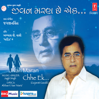 Mein Taji Tari Tamanna - Jagjit Singh