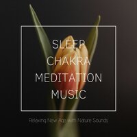 Magical Moments (Fall Sleep) - Sleepify & Beijing Express