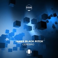 Nighthawk - James Black Pitch