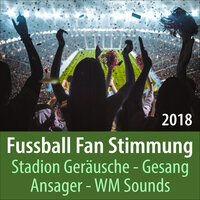 Stadion: Fans klatschen im Rhythmus und singen, Fan Stimmung Fussballstadion - Todster