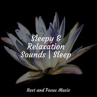 Love and Happiness - Deep Sleep Music Academy & Massage Music & Kinderlieder Megastars