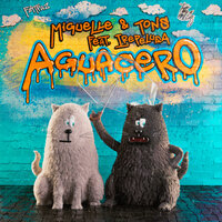 Aguacero - Miguelle & TONS & Irepelusa