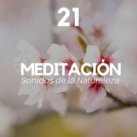 Disfruta Este Momento - Sueño Real