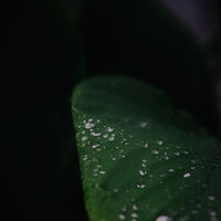 Calmar Aura - Musica Para Dormir & Sonidos de lluvia para dormir & Dormir e Meditar