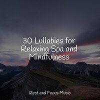 Mindfulness Spa - Calming Sounds & Namaste Healing Yoga & Namaste Yoga