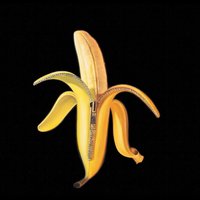 The Last High - The Dandy Warhols