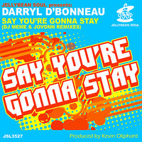 Say You're Gonna Stay - Darryl D'Bonneau