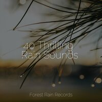 White Noise Rainy Forest - Relaxing Mindfulness Meditation Relaxation Maestro & Classical Lullabies & Saludo al Sol Sonido Relajante