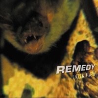 Stand by your Side - Remedy
