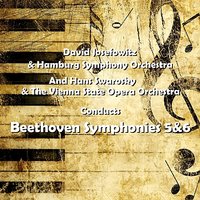 Symphony No 5 In C Minor Op 67: II  Andante Con Moto - Hamburg Symphony Orchestra & David Josefowitz & Ludwig van Beethoven